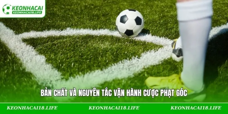 Bản chất và nguyên tắc vận hành cược phạt góc