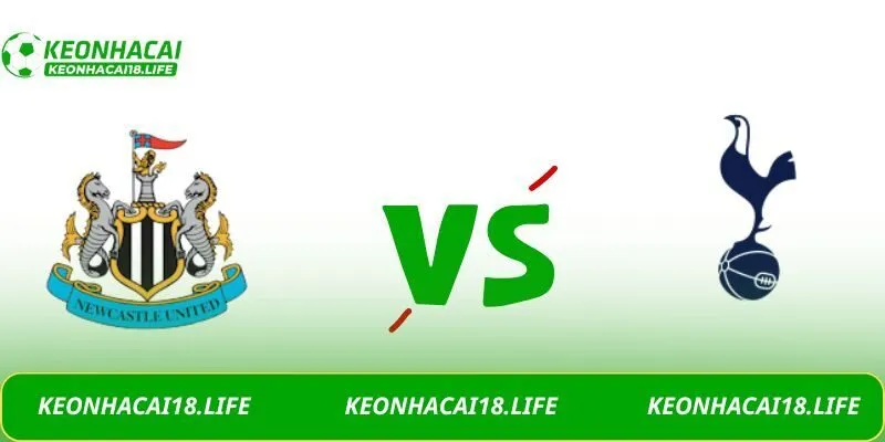 Soi kèo Newcastle United vs Tottenham Hotspur